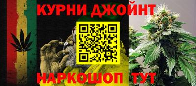 стаф Тула