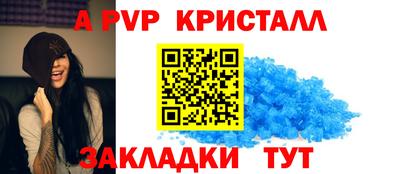 стаф Тула
