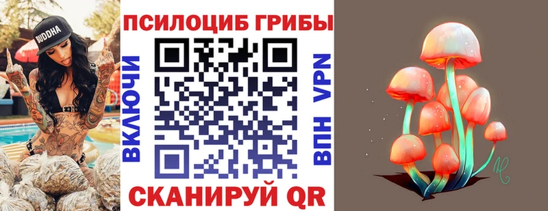 где купить Лобня Галлюциногенные грибы Psilocybine cubensis