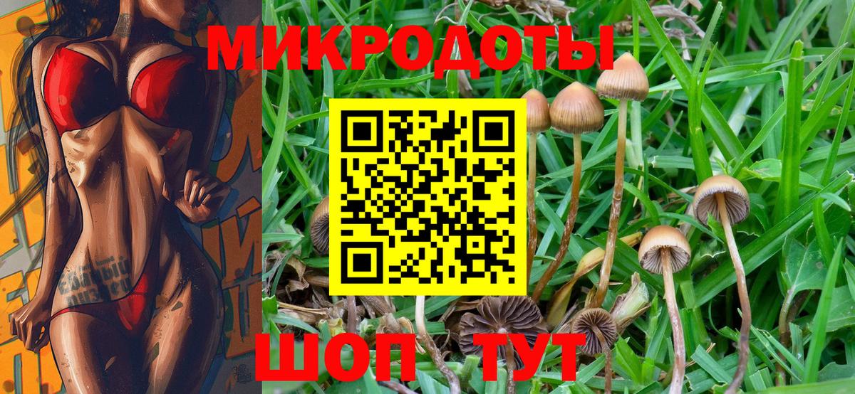 Галлюциногенные грибы прущие грибы  Вход с VPN  Лобня 